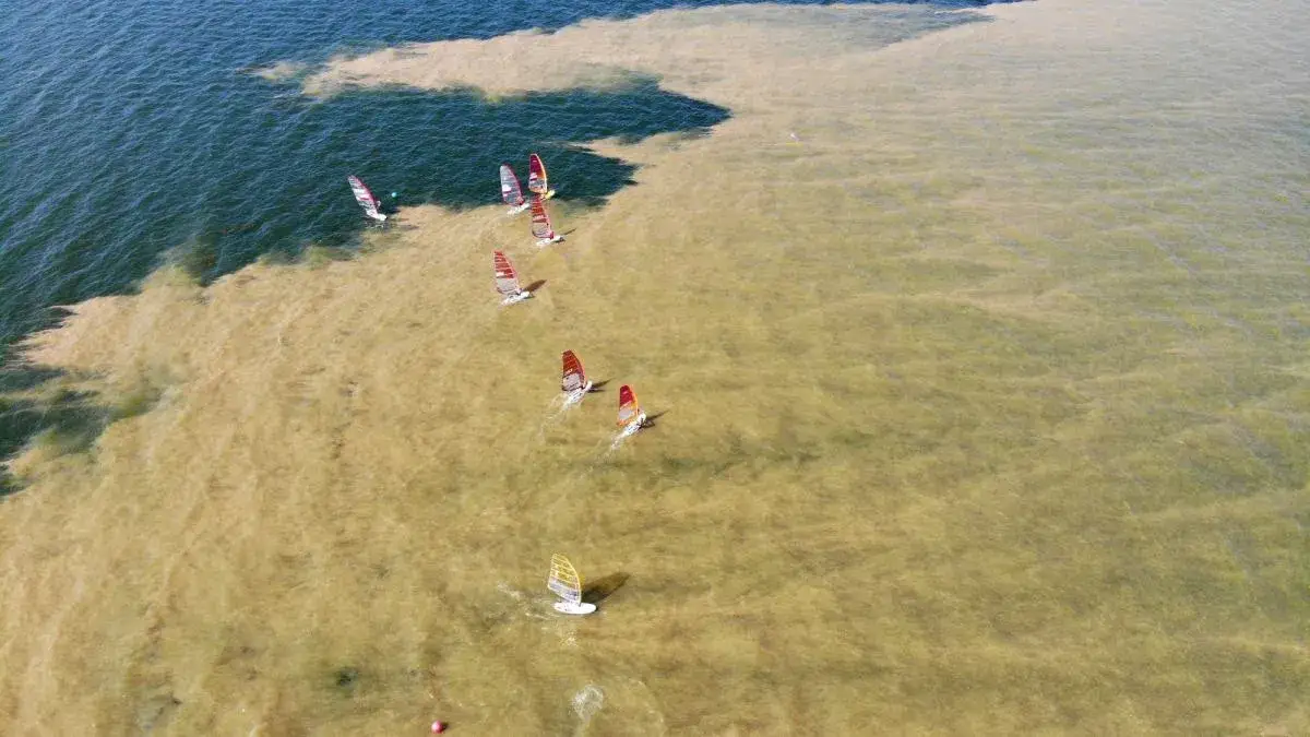 Zdjęcie Dlaczego Bałtyk jest zanieczyszczony? Odkryj niebezpieczne przyczyny