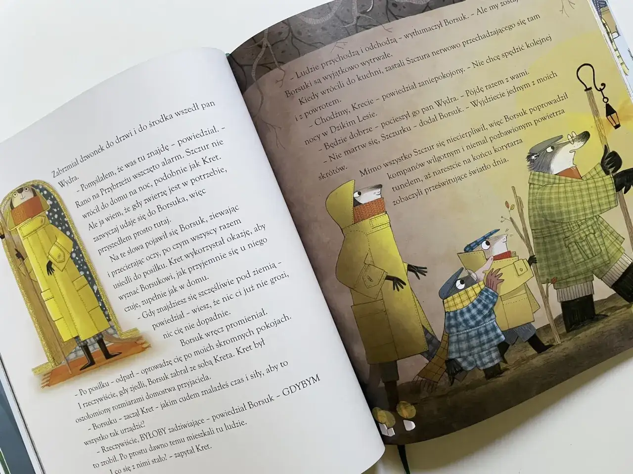 Zdjęcie O czym szumią wierzby komiks – odkryj fascynujące przygody bohaterów