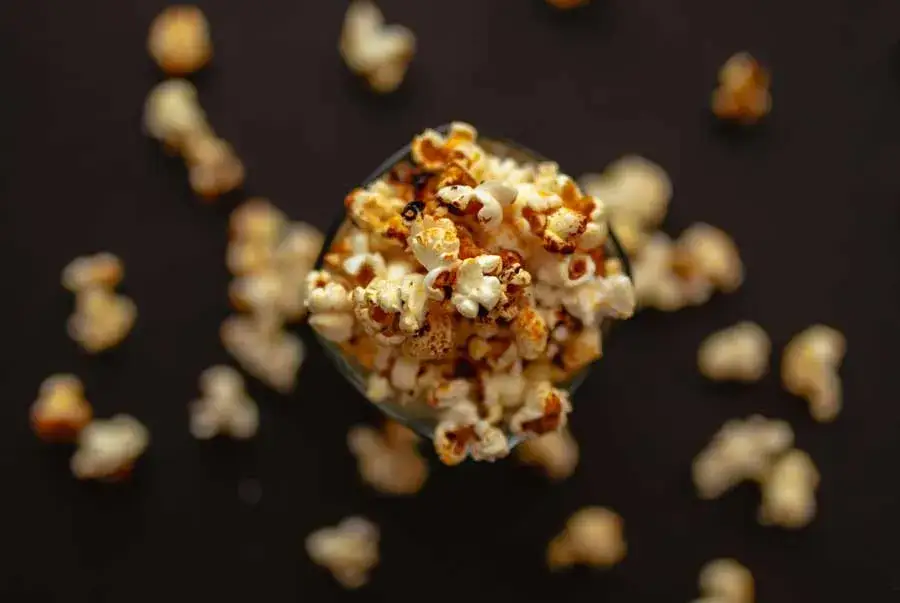 Zdjęcie Czy pies może jeść popcorn? Zobacz, co musisz wiedzieć o bezpieczeństwie