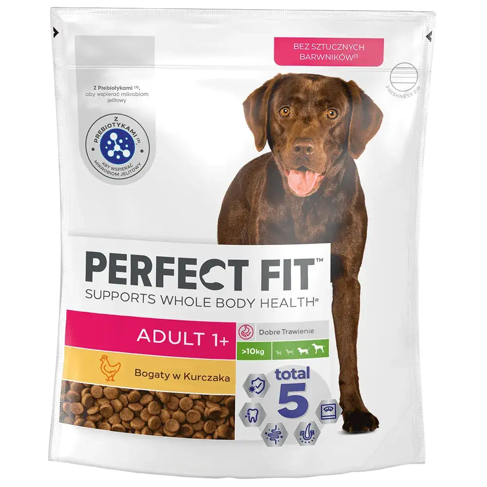 Zdjęcie Od kiedy podawać karmę dla dorosłych psów? Uniknij błędów w żywieniu psa!