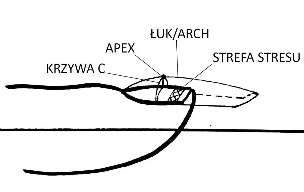 Zdjęcie Co to apex paznokcie i dlaczego jego prawidłowe uformowanie jest kluczowe