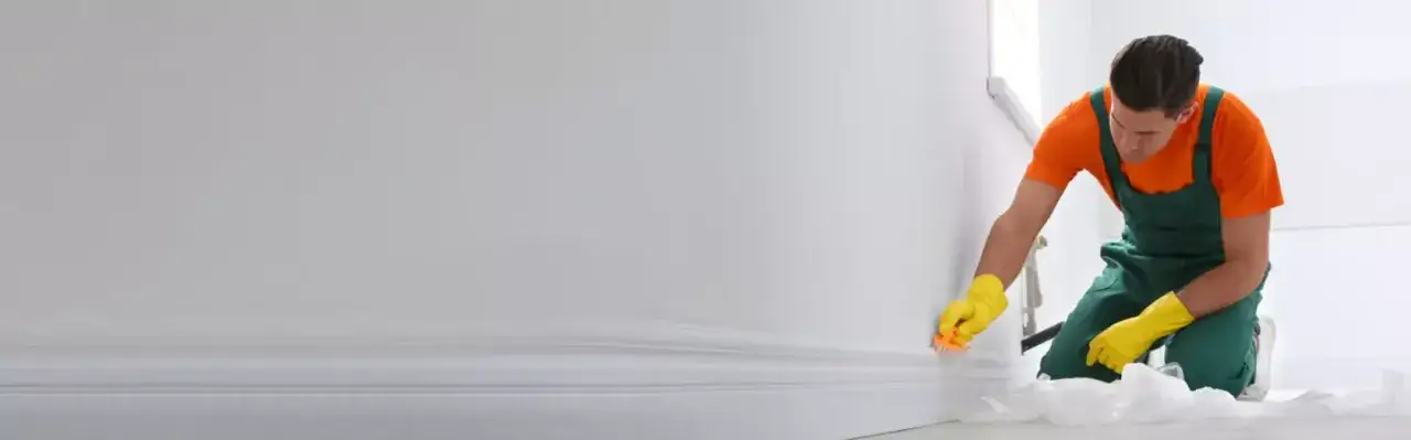 Zdjęcie Jak odkurzyć ściany po remoncie - skuteczne metody na kurz i brud