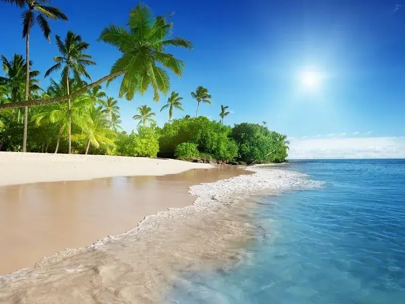 Zdjęcie Ile kosztuje lot na Karaiby? Sprawdź najtańsze opcje i ceny