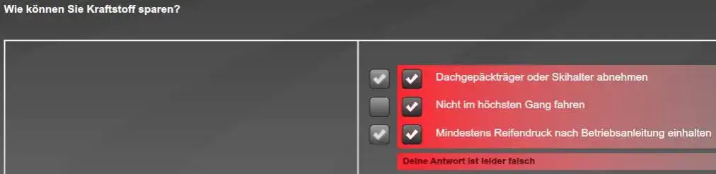Zdjęcie Kraftstoff sparen: 10 einfache Tipps für weniger Kosten und Umweltbelastung