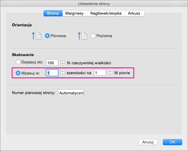 Zdjęcie Jak wydrukować cały arkusz Excel: 5 prostych kroków