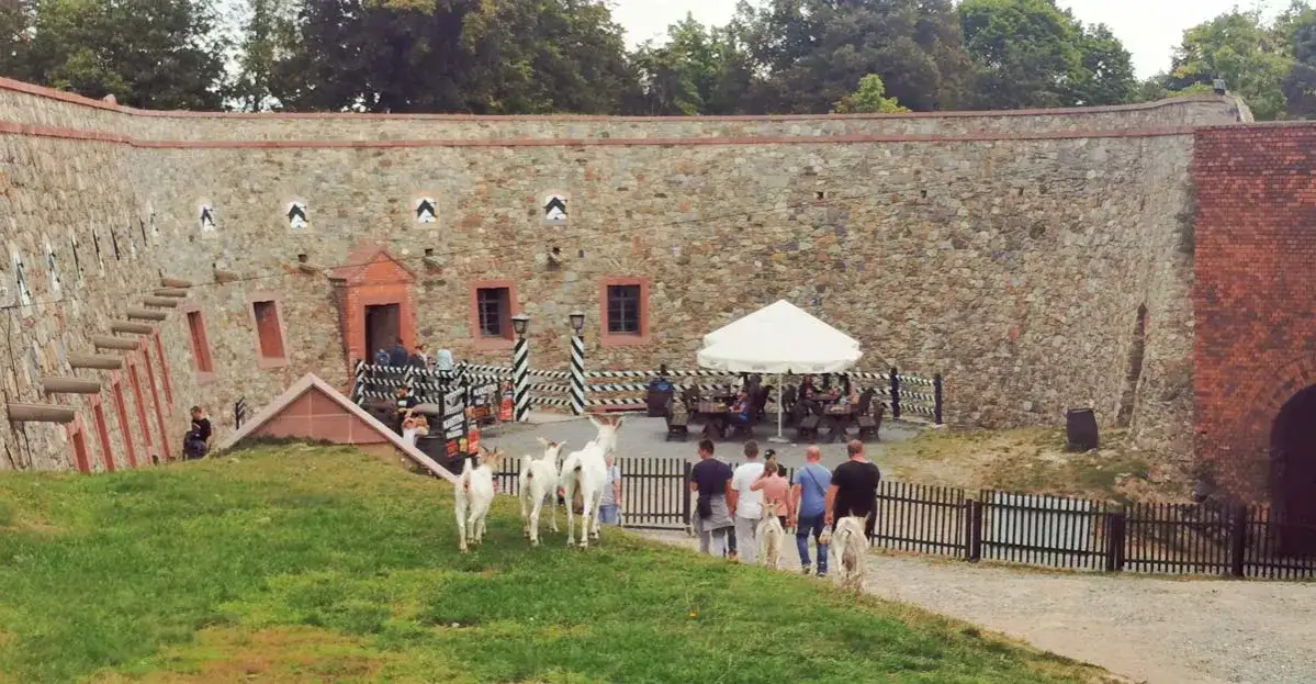 Zdjęcie Najlepsze miejsca na obiad w Srebrnej Górze - smaczne restauracje