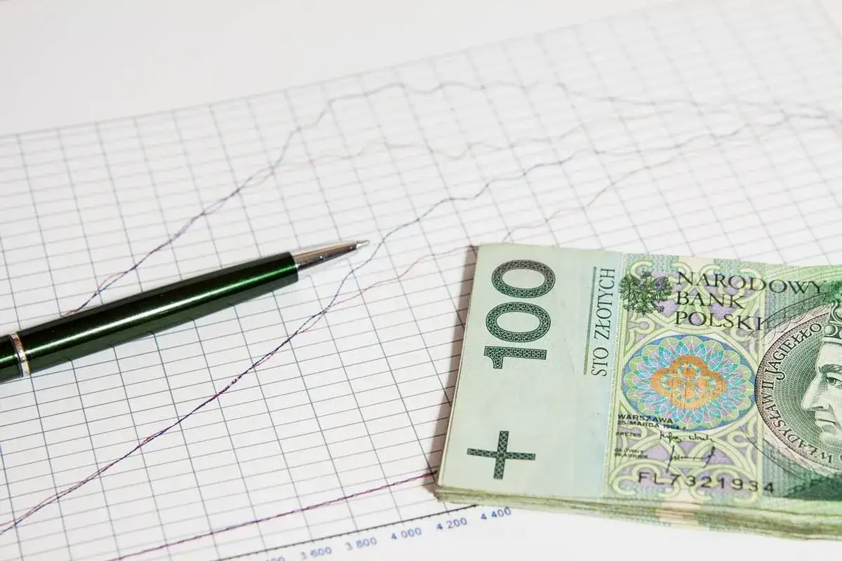 Zdjęcie Kruk pożyczki: ile można dostać i co wpływa na przyznaną kwotę?