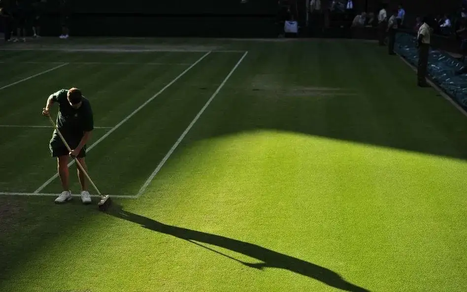Zdjęcie Jakie gatunki trawy na Wimbledonie zapewniają idealne warunki do gry?