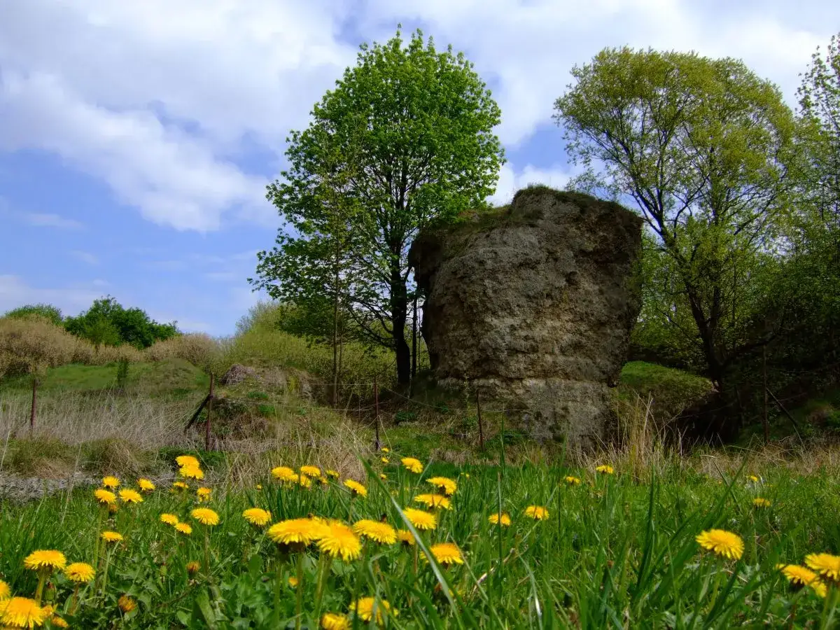 Zdjęcie Rezerwat przyrody Skorocice: co warto wiedzieć przed zwiedzaniem i jak uniknąć błędów