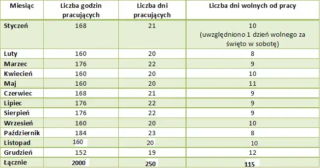 Zdjęcie Etat fizjoterapeuty ile godzin – jakie są rzeczywiste normy pracy?