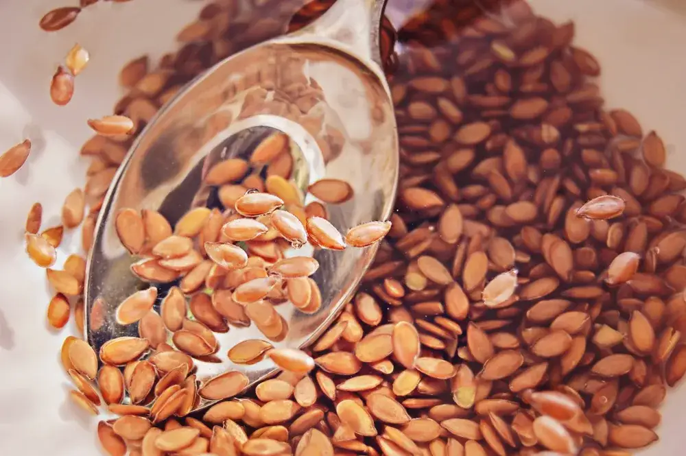 Zdjęcie Czy siemię lniane obniża cholesterol i wspiera zdrowie serca?