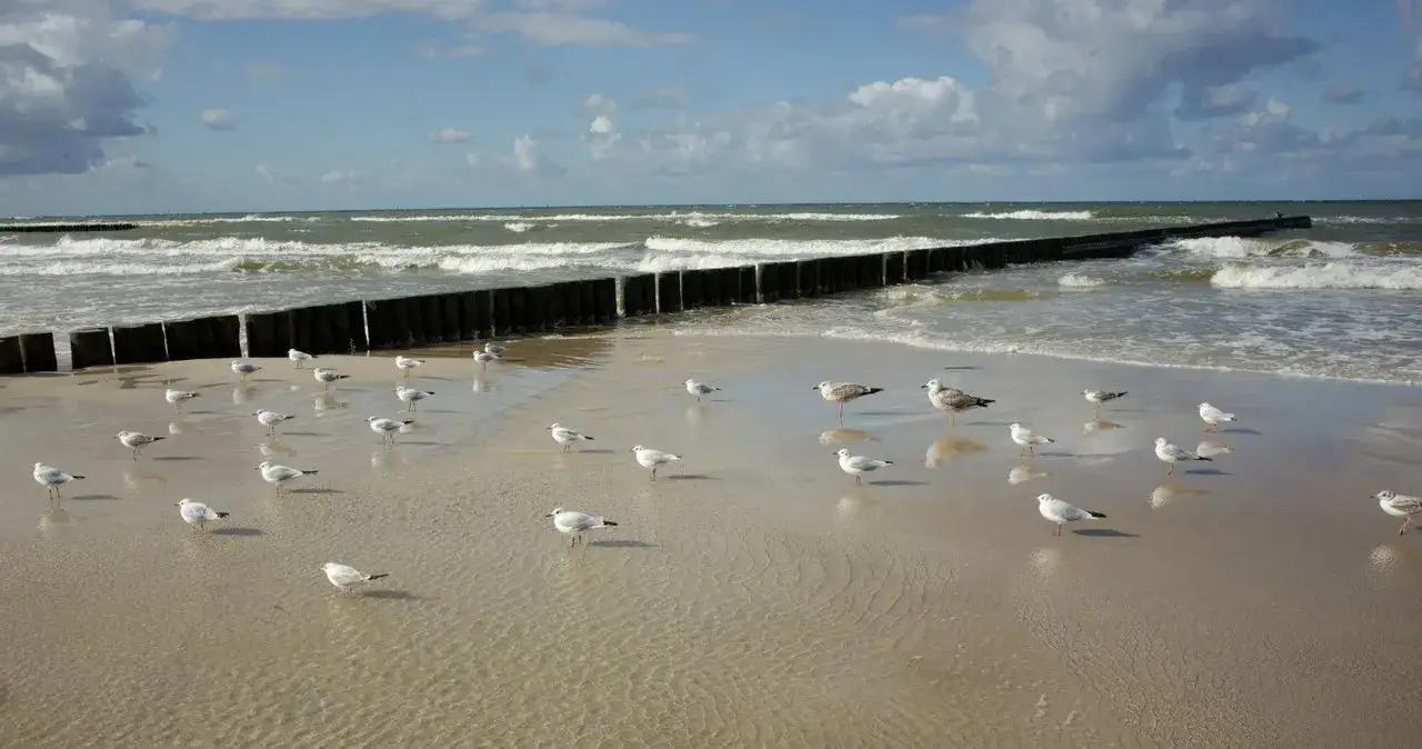 Zdjęcie Gdzie najwięcej jodu nad Bałtykiem? Odkryj najlepsze miejsca dla zdrowia