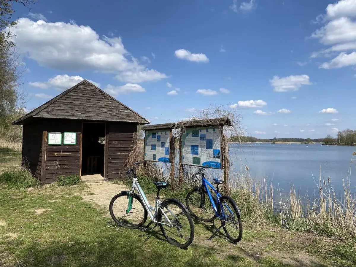 Zdjęcie Najlepsze trasy rowerowe wokół Stawów Milickich - odkryj piękno natury