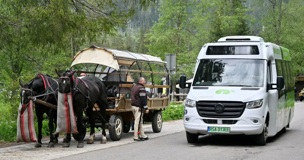 Zdjęcie Autobus na Morskie Oko: Jak Łatwo i Tanio Dotrzeć do Serca Tatr?
