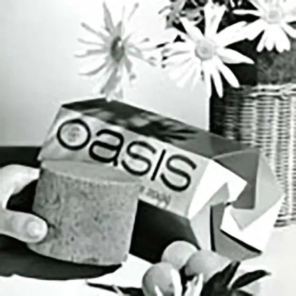 Zdjęcie Oasis co to za firma? Poznaj różne przedsiębiorstwa o tej nazwie