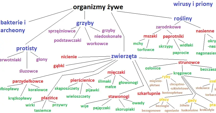Zdjęcie Systematyka w biologii: klucz do zrozumienia różnorodności życia