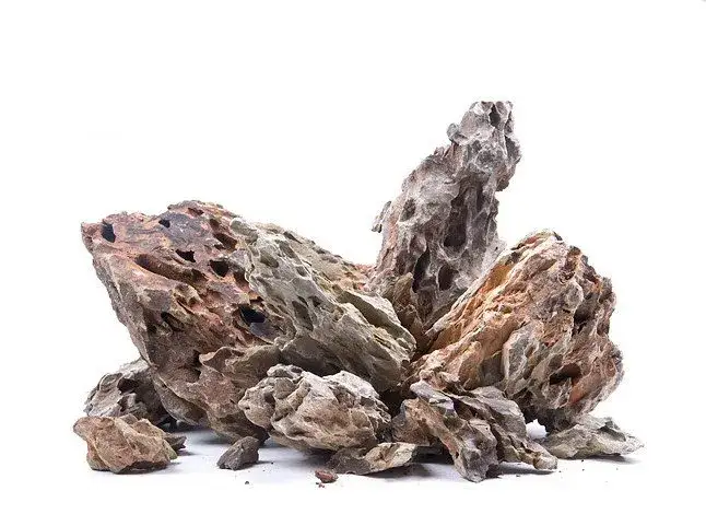 Zdjęcie Gdzie znaleźć kamienie do akwarium, aby uniknąć niebezpieczeństw dla ryb