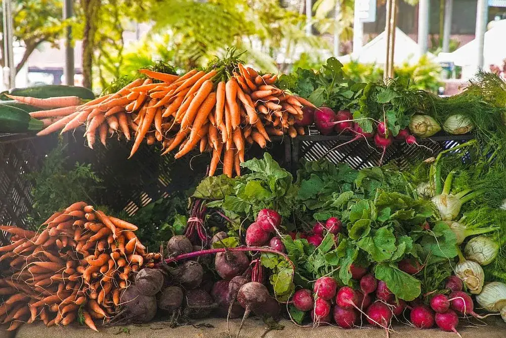 Zdjęcie Jakie biznesy na wsi są opłacalne? Oto inspiracje dla Ciebie