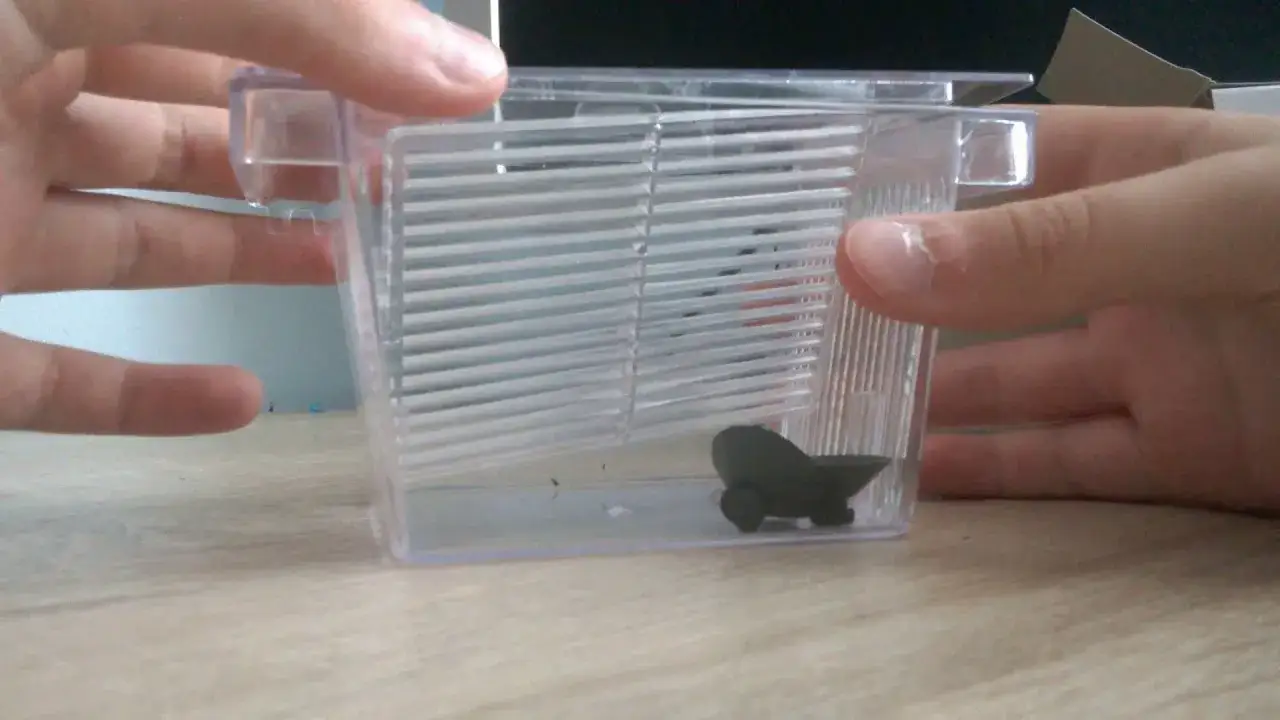 Zdjęcie Jak zrobić kotnik dla gupika - proste sposoby na udane rozmnażanie