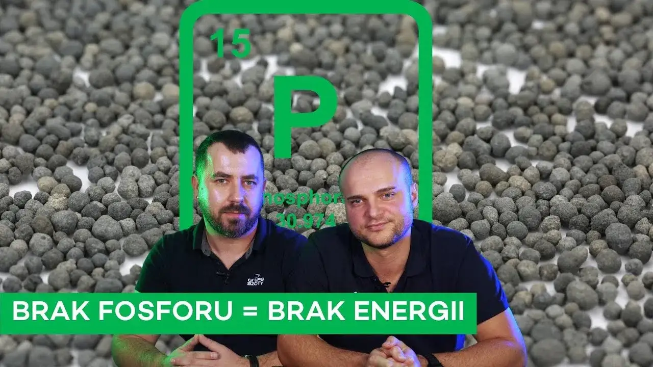 Zdjęcie Jak uzupełnić fosfor w glebie, aby poprawić zdrowie roślin?