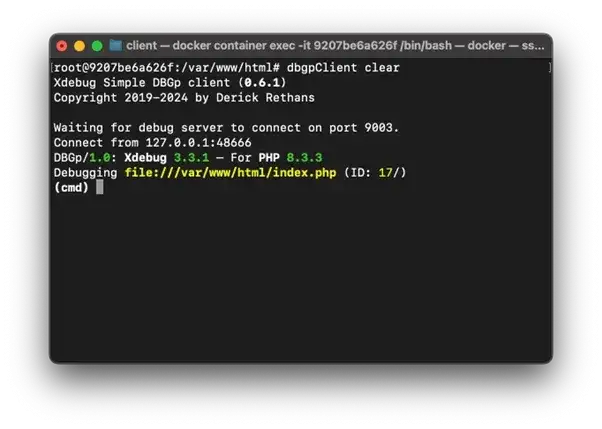 Zdjęcie Jak połączyć HTML z PHP? Proste metody, które musisz znać