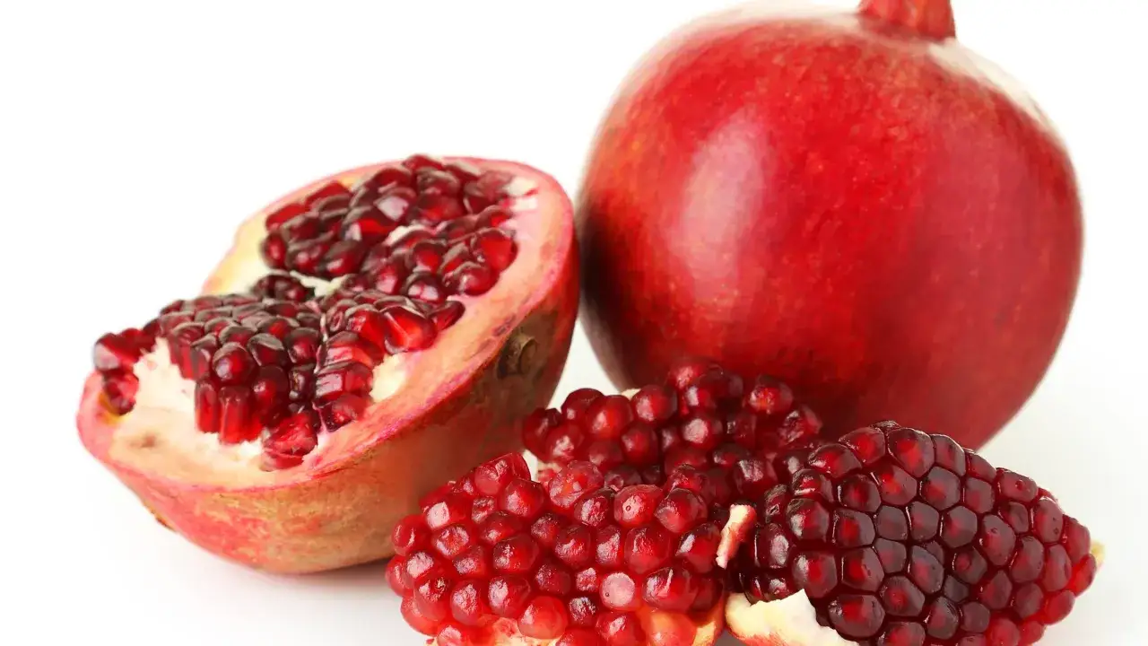 Zdjęcie Czy pies może jeść granata? Sprawdź, jakie są zagrożenia i zasady