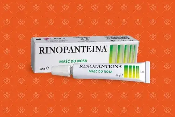 Zdjęcie Rinopanteina czy na receptę? Sprawdź, co musisz wiedzieć o zakupie