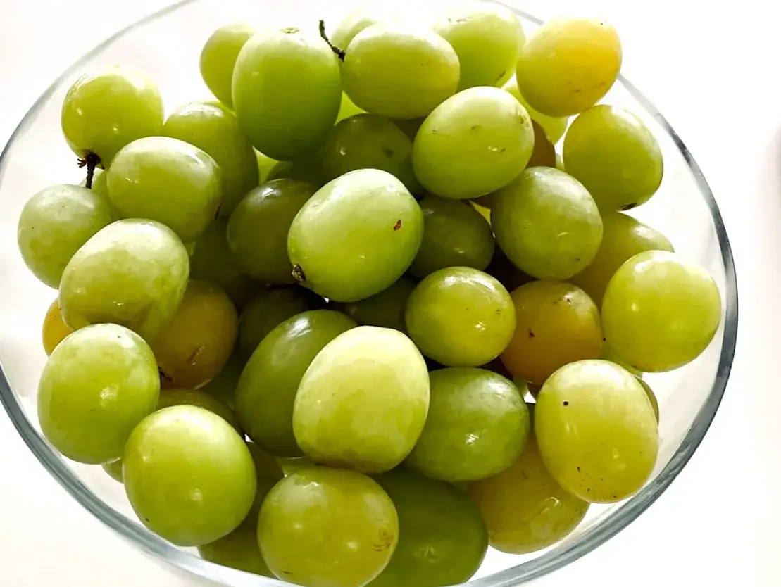 Zdjęcie Jak rozmnażają się winogrona bezpestkowe - skuteczne metody i porady