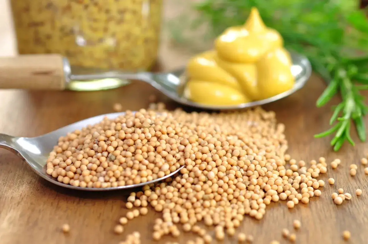 Zdjęcie Co daje gorczyca w ogórkach kiszonych? Smak, zdrowie i konserwacja