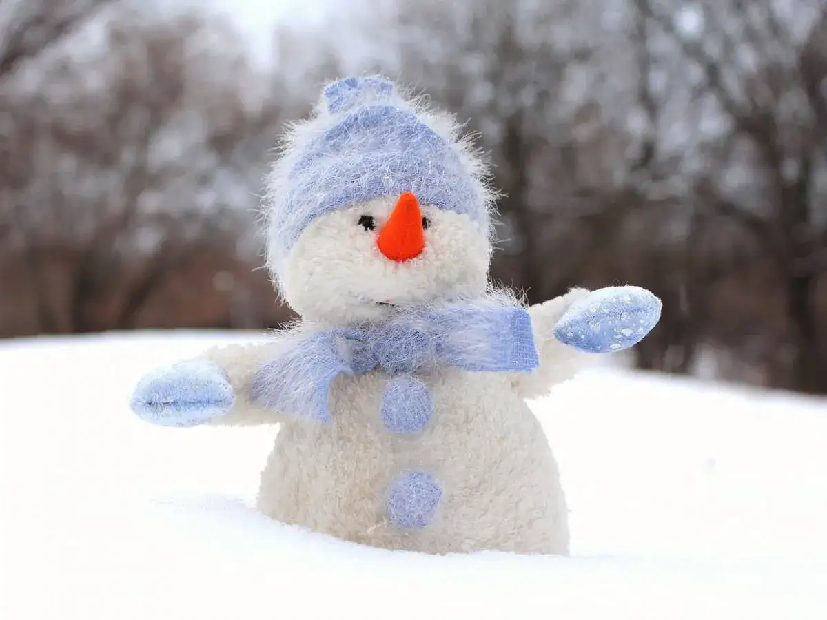 Zdjęcie Zagadki o bałwanku – świetna zabawa dla dzieci na zimowe dni!