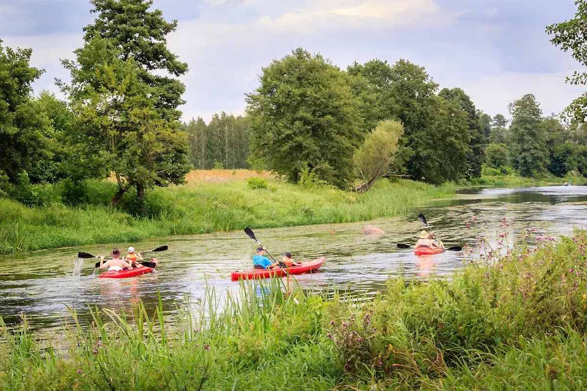 Zdjęcie Spływy kajakowe pod Warszawą: najlepsze trasy, porady i atrakcje dla początkujących