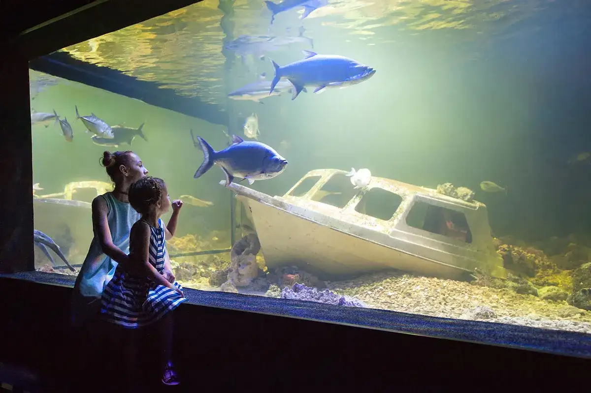 Zdjęcie Oceanarium Kielce - Ciekawe atrakcje, godziny otwarcia i ceny biletów