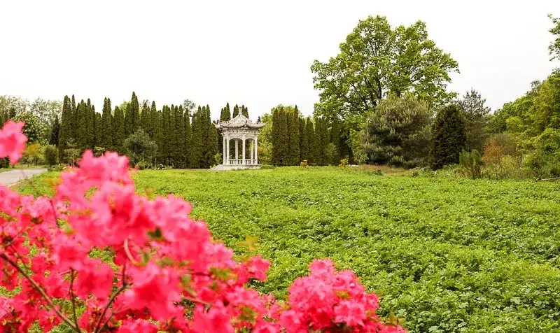 Zdjęcie Kiedy najlepiej jechać do Powsina, by nie przegapić piękna natury