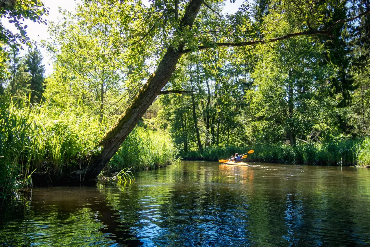 Zdjęcie Mazury kajaki gdzie - najlepsze miejsca na spływy kajakowe