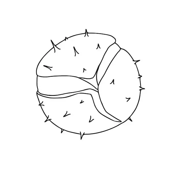 Zdjęcie Kolorowanka - kasztanowiec i kosz na śmieci do wydruku dla ekologów
