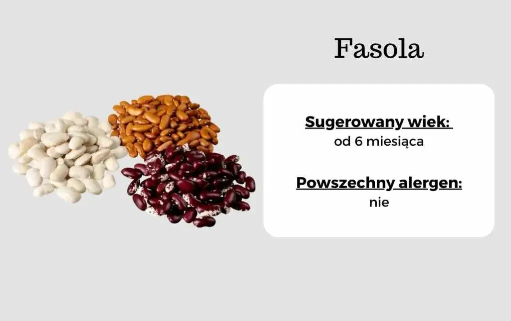Zdjęcie Od kiedy fasola biała dla dziecka? Bezpieczne wprowadzenie do diety