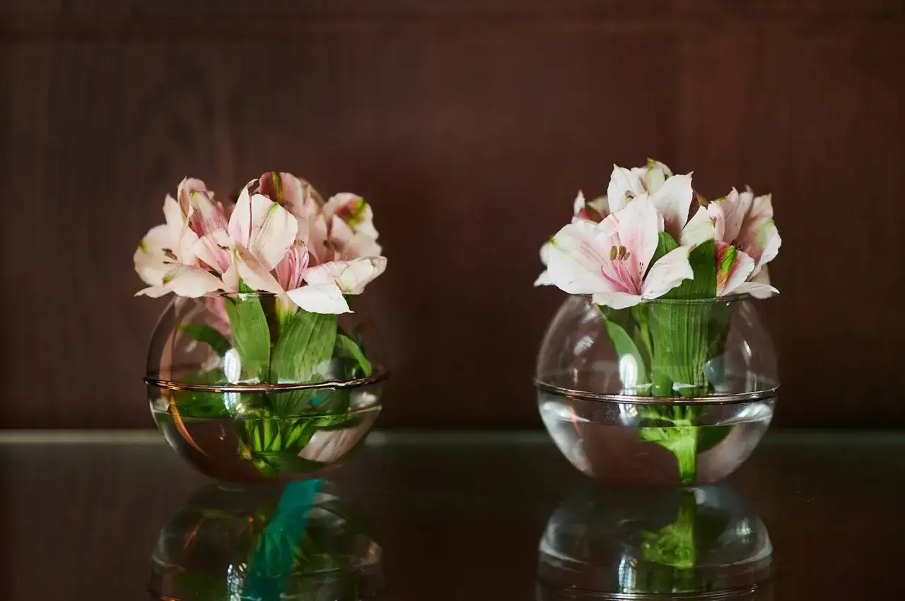 Zdjęcie Najlepsze spa w Warszawie - relaks i wyjątkowe zabiegi dla Ciebie