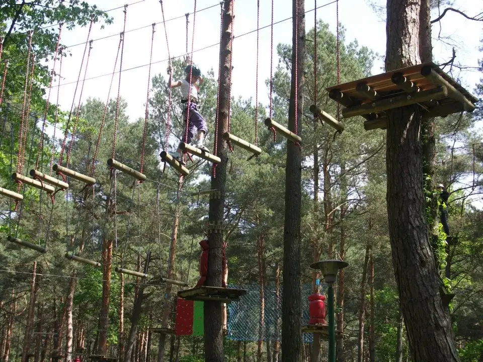 Zdjęcie Nowy park linowy w Rybniku - emocjonujące trasy i atrakcje dla każdego