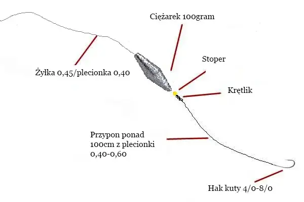 Zdjęcie Jaka plecionka na suma z gruntu? Kluczowe wskazówki i porady