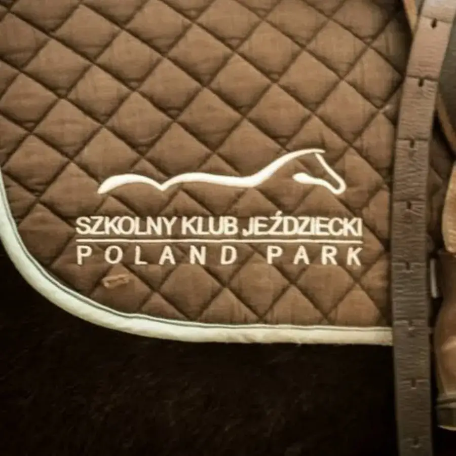 Zdjęcie Szkolny klub jeździecki Poland Park – najlepsze miejsce na naukę jazdy konnej