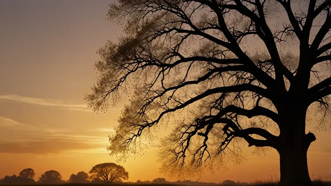Zdjęcie Inspirujące cytaty z Tam, gdzie spadają anioły - refleksje