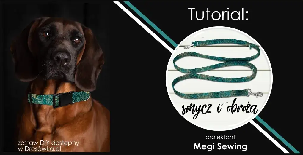 Zdjęcie Jak zrobić obrożę dla psa - łatwe kroki do stworzenia idealnej obroży