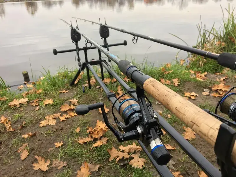 Zdjęcie Gdzie na ryby bez karty Radom - najlepsze miejsca na wędkowanie