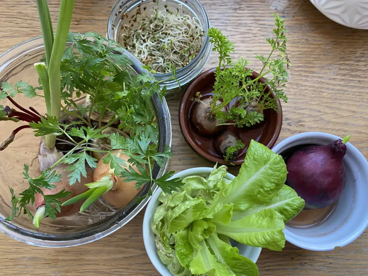 Zdjęcie Co uprawiać w domu zimą? Świeże zioła i warzywa na parapecie