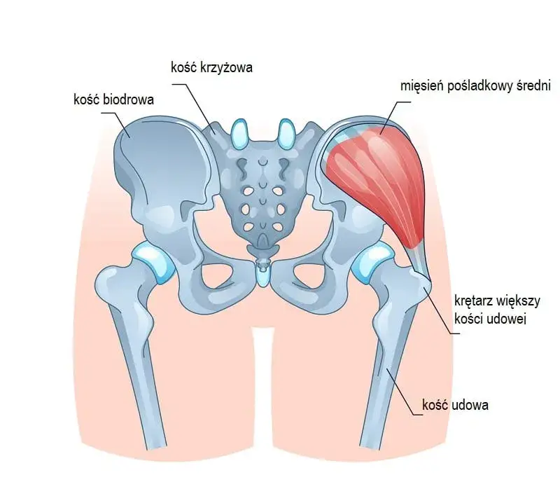 Zdjęcie Bolesne zapalenie krętarza biodra: objawy, które musisz znać