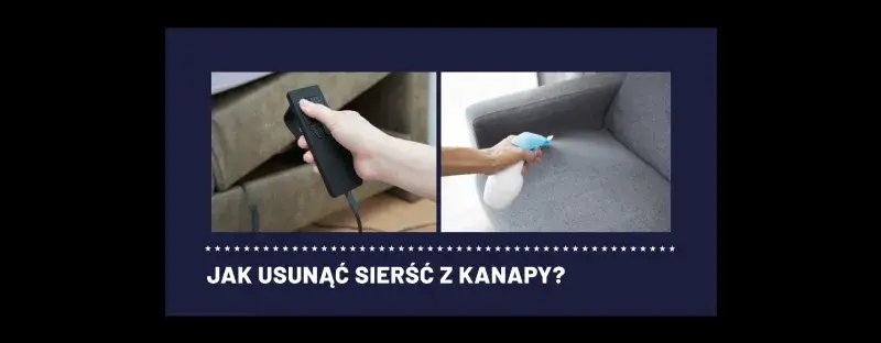 Zdjęcie Jak pozbyć się sierści z kanapy? Skuteczne metody i triki