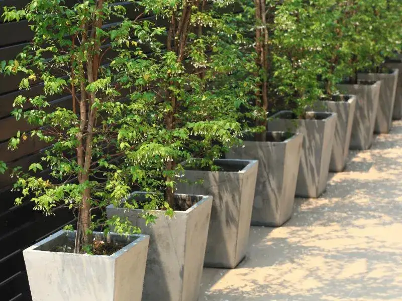 Zdjęcie Jasne instrukcje jak zrobić donice ogrodowe betonowe krok po kroku