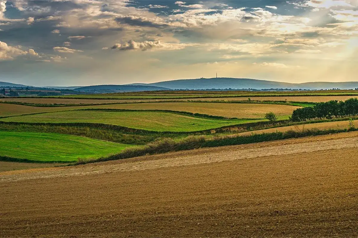 Zdjęcie Ile kosztuje 1 ar działki rolnej? Sprawdź aktualne ceny i czynniki wpływające