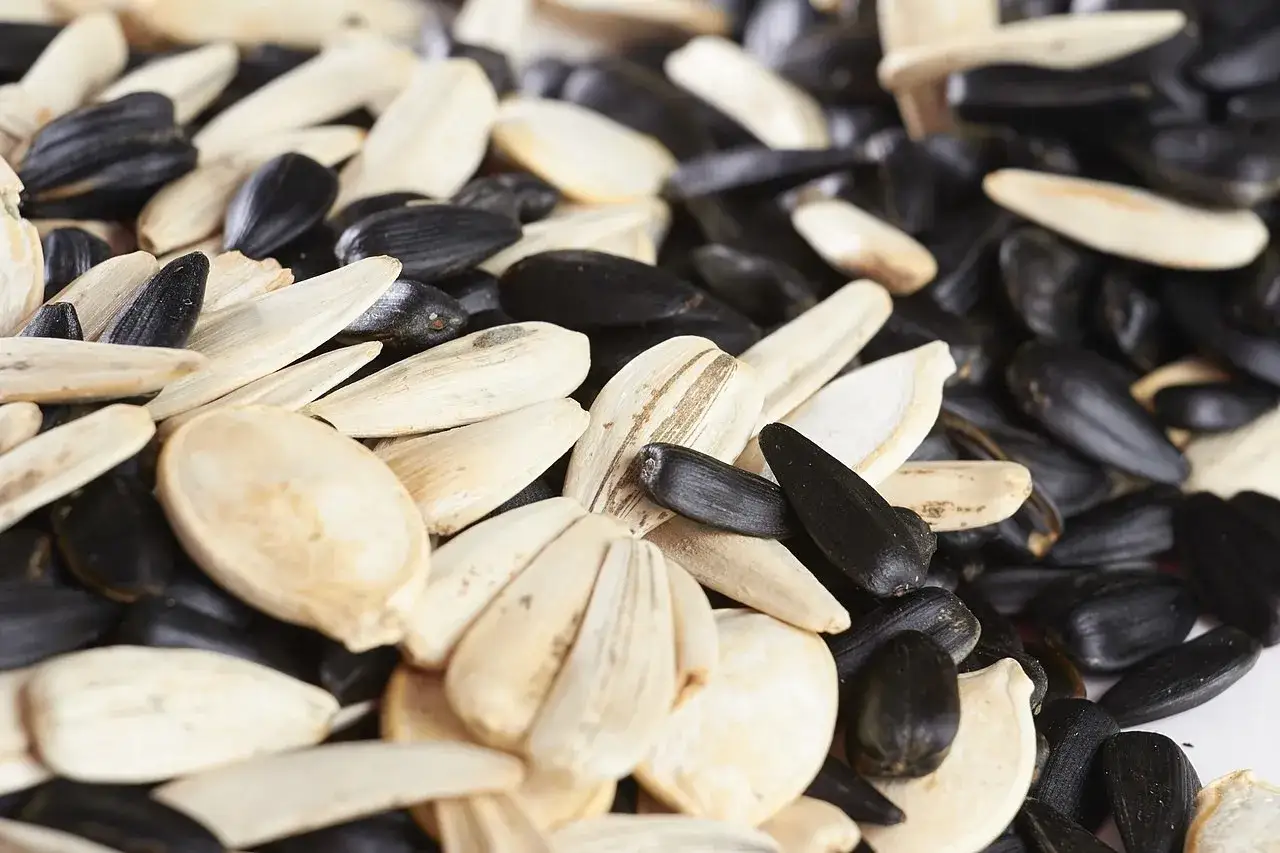 Zdjęcie Jak uprażyć słonecznik do sałatki, by dodać jej wyjątkowego smaku