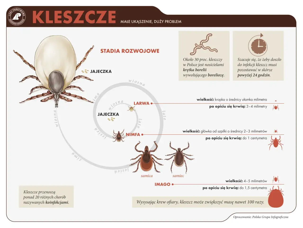 Zdjęcie Jaką krew lubią kleszcze i jak się przed nimi chronić?